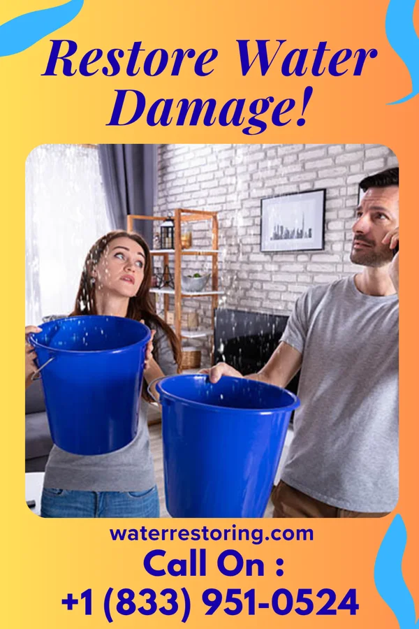 water restoration Elite Water Damage Network Talco