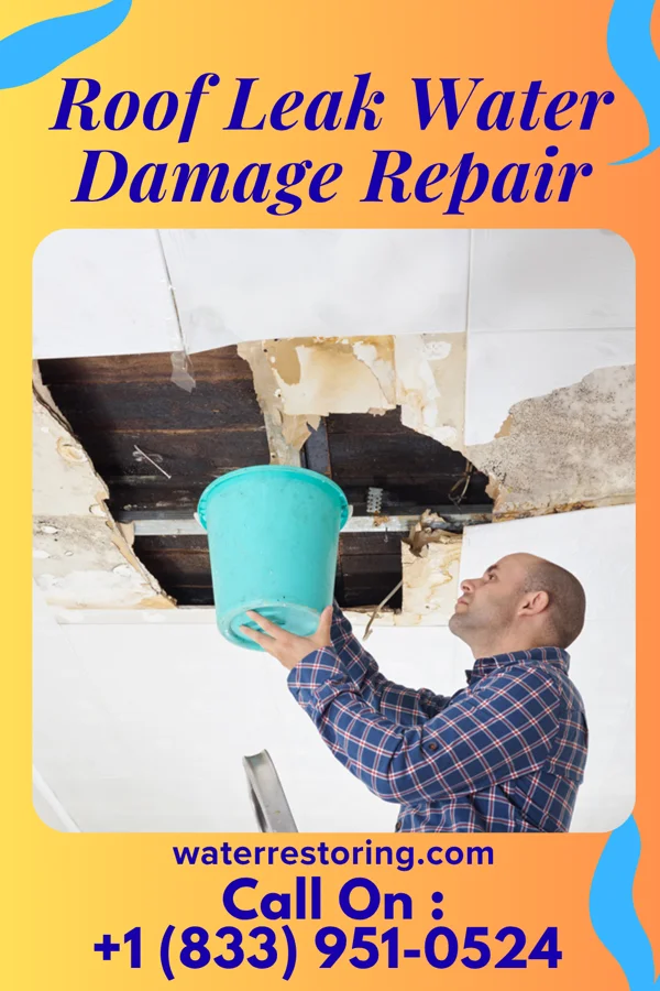 Roof Leak Water Damage Repair in Talco, TX